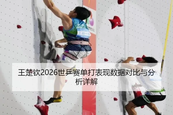 王楚钦2026世乒赛单打表现数据对比与分析详解