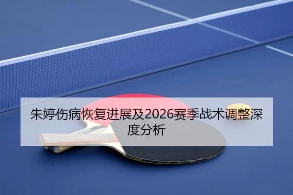 朱婷伤病恢复进展及2026赛季战术调整深度分析