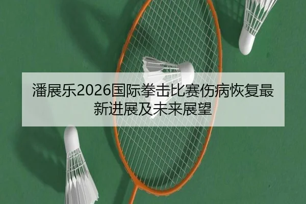 潘展乐2026国际拳击比赛伤病恢复最新进展及未来展望